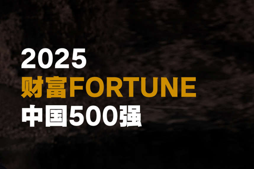 连续12次上榜！安踏集团入选2025《财富》中国500强榜单
