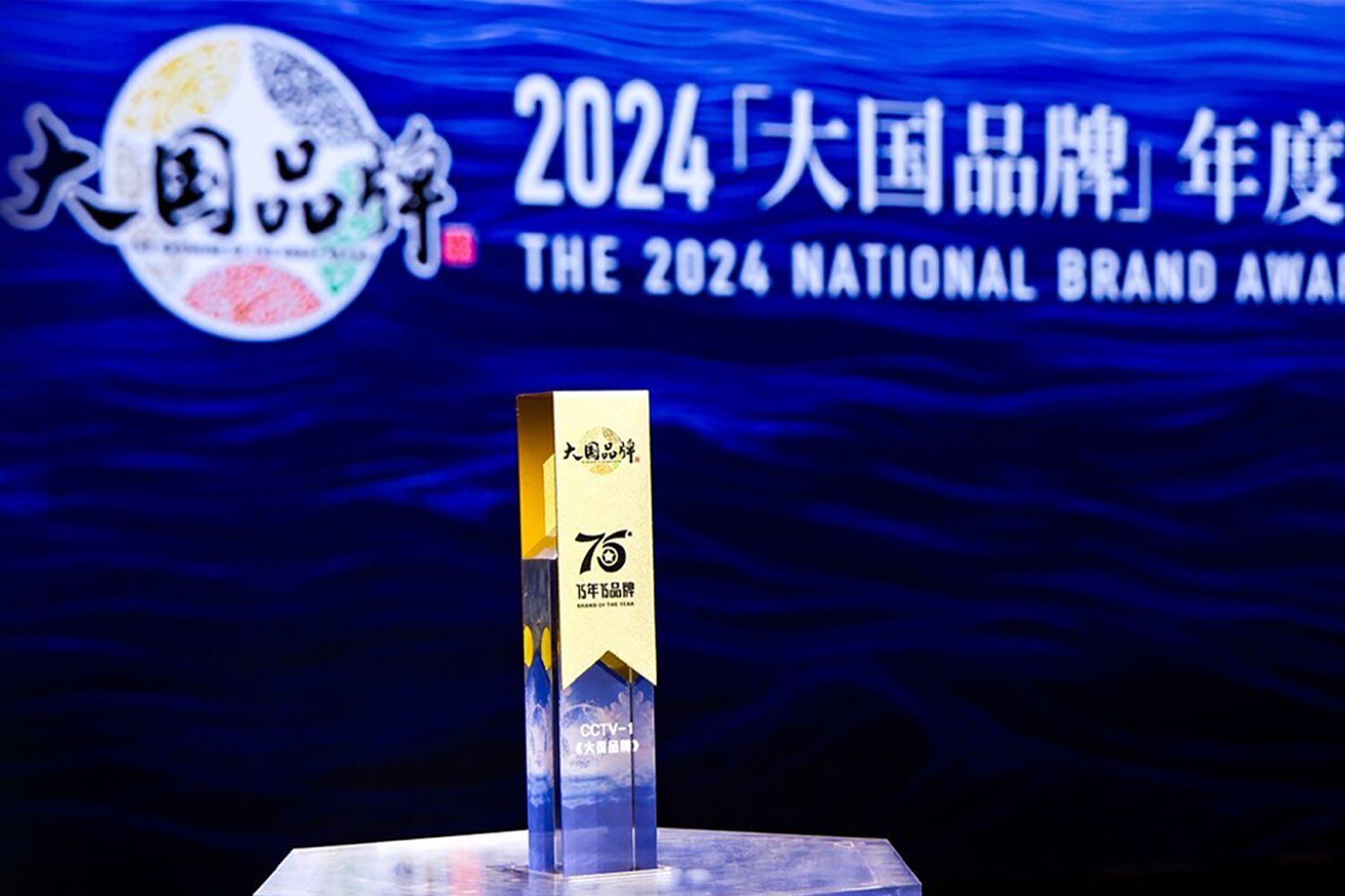 安踏荣登2024《大国品牌》国牌盛典年度品牌